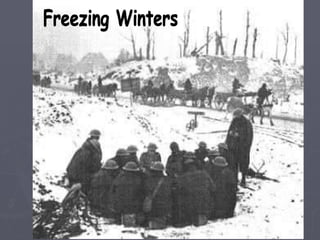 Freezing Winters 
