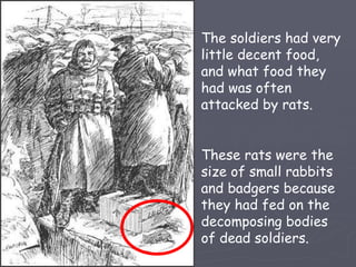 The soldiers had very little decent food, and what food they had was often attacked by rats. These rats were the size of small rabbits and badgers because they had fed on the decomposing bodies of dead soldiers. 
