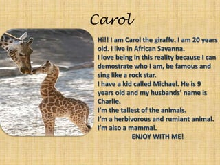 CarolHi!! I am Carol the giraffe. I am 20 years old. I live in African Savanna. I love being in this reality because I can demostrate who I am, be famous and   sing like a rock star. I have a kid called Michael. He is 9 years old and my husbands’ name is Charlie.I’m the tallest of the animals. I’m a herbivorous and rumiant animal.I’m also a mammal. ENJOY WITH ME!