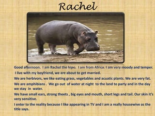 RachelGood afternoon.  I am Rachel the hipo.  I am from Africa. I am very moody and temper.  I live with my boyfriend, we are about to get married. We are herbivors, we like eating grass, vegetables and acuatic plants. We are very fat.We are amphibians .  We go out  of water at night  to the land to party and in the day  we stay  in  water.We have small ears, strong theets , big eyes and mouth, short legs and tail. Our skin it’s very sensitive.I enter to the reality because I like appearing in TV and I am a really housewive as the title says.