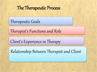 The Therapeutic Process
Therapeutic Goals
Therapist’s Functions and Role
Client’s Experience in Therapy
Relationship Between Therapist and Client
 