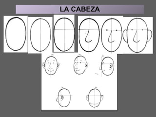 LA CABEZA 