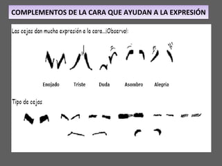 COMPLEMENTOS DE LA CARA QUE AYUDAN A LA EXPRESIÓN 