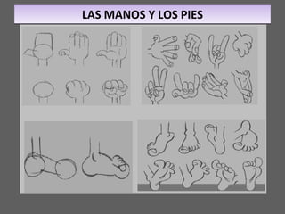 LAS MANOS Y LOS PIES 