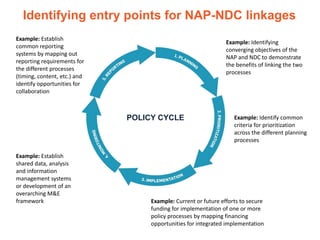 Identifying entry points for NAP-NDC linkages
Example: Identifying
converging objectives of the
NAP and NDC to demonstrate...