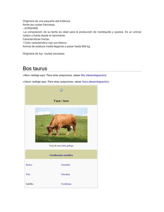 Originaria de una pequeña isla británica
frente las costas francesas.
- AYRSHIRE
 La composición de su leche es ideal para la producción de mantequilla y quesos. Es un animal
rústico y fuerte desde el nacimiento.
Características físicas:
• Color característico rojo con blanco.
Animal de estatura media llegando a pesar hasta 600 kg.

Originaria de Ayr, ciudad escosesa




Bos taurus
«Res» redirige aquí. Para otras acepciones, véase Res (desambiguación).

«Vaca» redirige aquí. Para otras acepciones, véase Vaca (desambiguación).




                          Vaca / toro




                      Vaca de raza rubia gallega



                      Clasificación científica


  Reino:                          Animalia


  Filo:                           Chordata


  Subfilo:                        Vertebrata
 