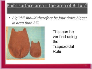 50
• Big Phil should therefore be four times bigger
in area than Bill.
This can be
verified using
the
Trapezoidal
Rule
 