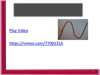 66
Play Video
https://vimeo.com/77002316
 