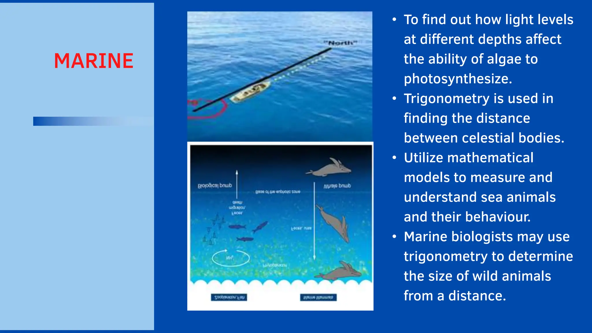 • To find out how light levels
at different depths affect
the ability of algae to
photosynthesize.
• Trigonometry is used in
finding the distance
between celestial bodies.
• Utilize mathematical
models to measure and
understand sea animals
and their behaviour.
• Marine biologists may use
trigonometry to determine
the size of wild animals
from a distance.
MARINE
 