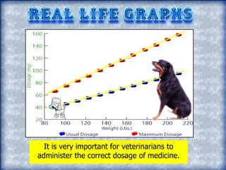 Linear Graph Real Life