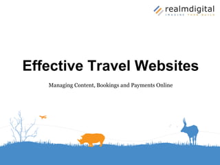Effective Travel Websites Managing Content, Bookings and Payments Online 
