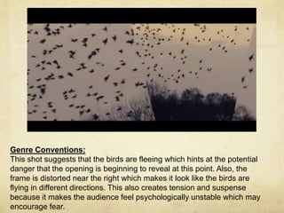Genre Conventions: 
This shot suggests that the birds are fleeing which hints at the potential 
danger that the opening is beginning to reveal at this point. Also, the 
frame is distorted near the right which makes it look like the birds are 
flying in different directions. This also creates tension and suspense 
because it makes the audience feel psychologically unstable which may 
encourage fear. 
 