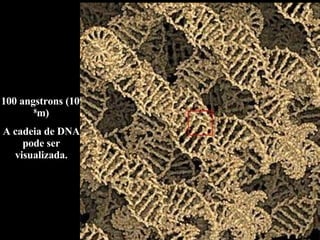 100 angstrons (10 -8 m) A cadeia de DNA pode ser visualizada. 
