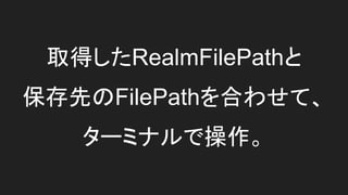 取得したRealmFilePathと
保存先のFilePathを合わせて、
ターミナルで操作。
 