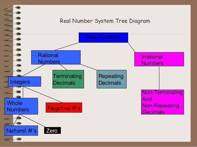 diagram of a real number system real numbers system diagram of a real number system real numbers system