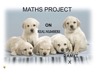 MATHS PROJECT
ON
REAL NUMBERS
By
RAMKI
X
 