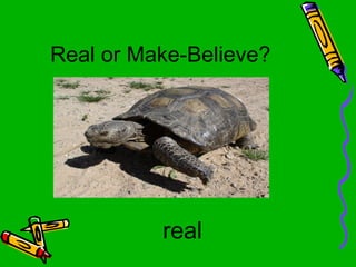 Real Or Make Believe