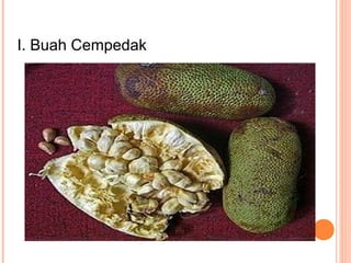 apa efek samping buah sirsak di malaysia