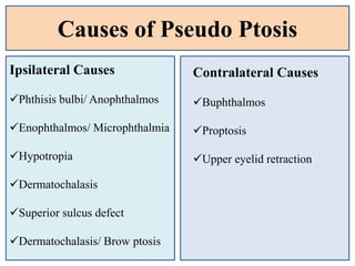 Causes of Pseudo Ptosis
Ipsilateral Causes
Phthisis bulbi/ Anophthalmos
Enophthalmos/ Microphthalmia
Hypotropia
Dermatochalasis
Superior sulcus defect
Dermatochalasis/ Brow ptosis
Contralateral Causes
Buphthalmos
Proptosis
Upper eyelid retraction
 