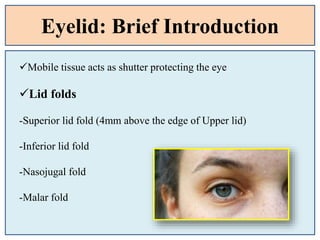 Eyelid: Brief Introduction
Mobile tissue acts as shutter protecting the eye
Lid folds
-Superior lid fold (4mm above the edge of Upper lid)
-Inferior lid fold
-Nasojugal fold
-Malar fold
 