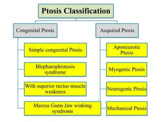 Ptosis Classification
Congenital Ptosis
Simple congenital Ptosis
Blepharophimosis
syndrome
With superior rectus muscle
weakness
Marcus Gunn Jaw winking
syndrome
Acquired Ptosis
Aponeurotic
Ptosis
Myogenic Ptosis
Neurogenic Ptosis
Mechanical Ptosis
 