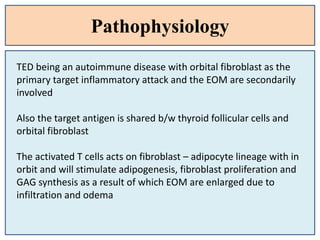 Pathophysiology
TED being an autoimmune disease with orbital fibroblast as the
primary target inflammatory attack and the EOM are secondarily
involved
Also the target antigen is shared b/w thyroid follicular cells and
orbital fibroblast
The activated T cells acts on fibroblast – adipocyte lineage with in
orbit and will stimulate adipogenesis, fibroblast proliferation and
GAG synthesis as a result of which EOM are enlarged due to
infiltration and odema
 