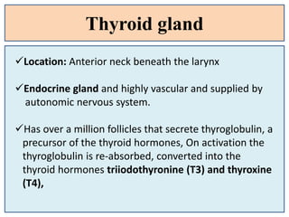 Thyroid gland
Location: Anterior neck beneath the larynx
Endocrine gland and highly vascular and supplied by
autonomic nervous system.
Has over a million follicles that secrete thyroglobulin, a
precursor of the thyroid hormones, On activation the
thyroglobulin is re-absorbed, converted into the
thyroid hormones triiodothyronine (T3) and thyroxine
(T4),
 