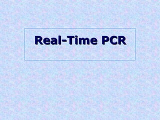 Real-Time PCR 