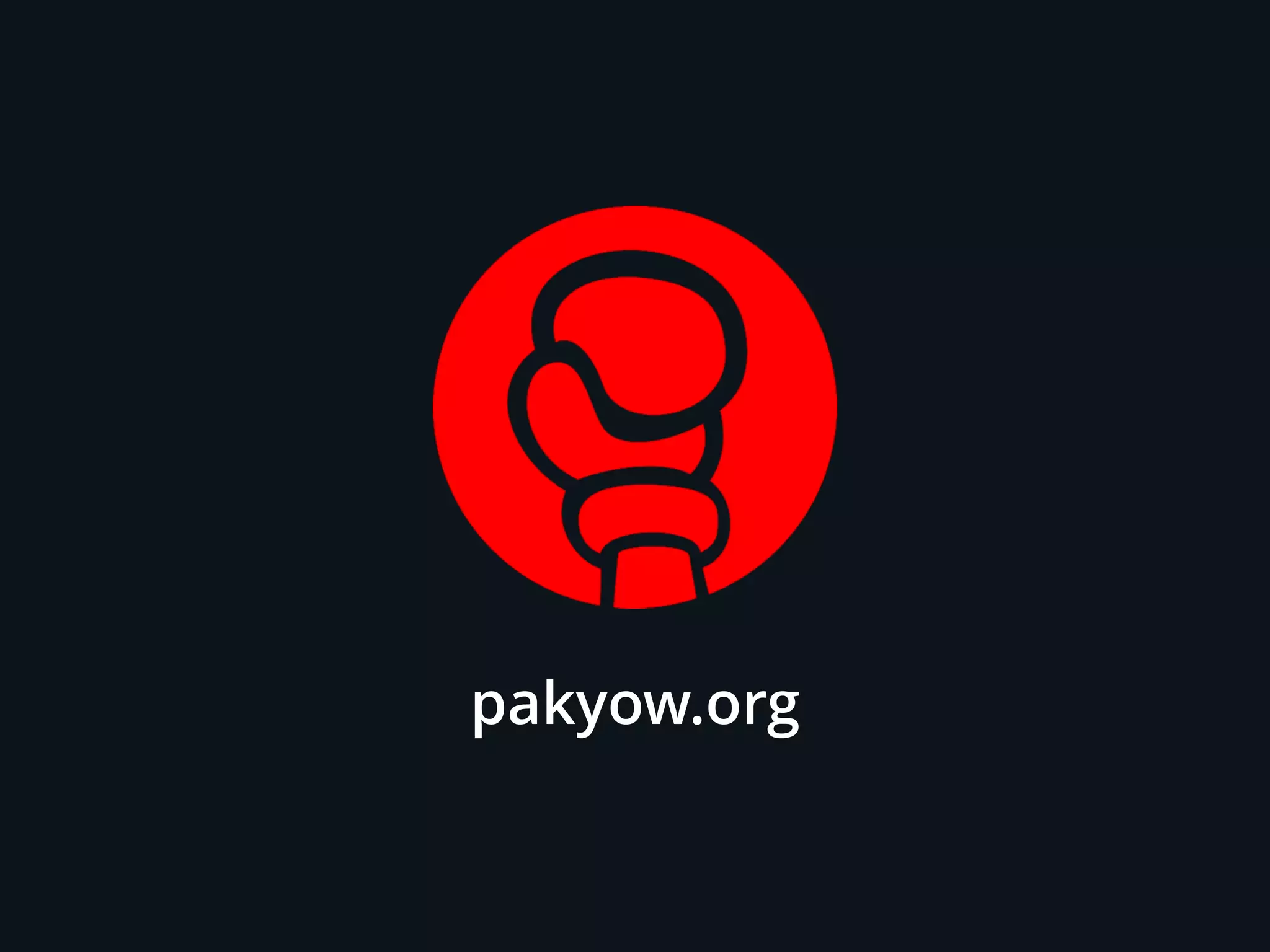 pakyow.org
 