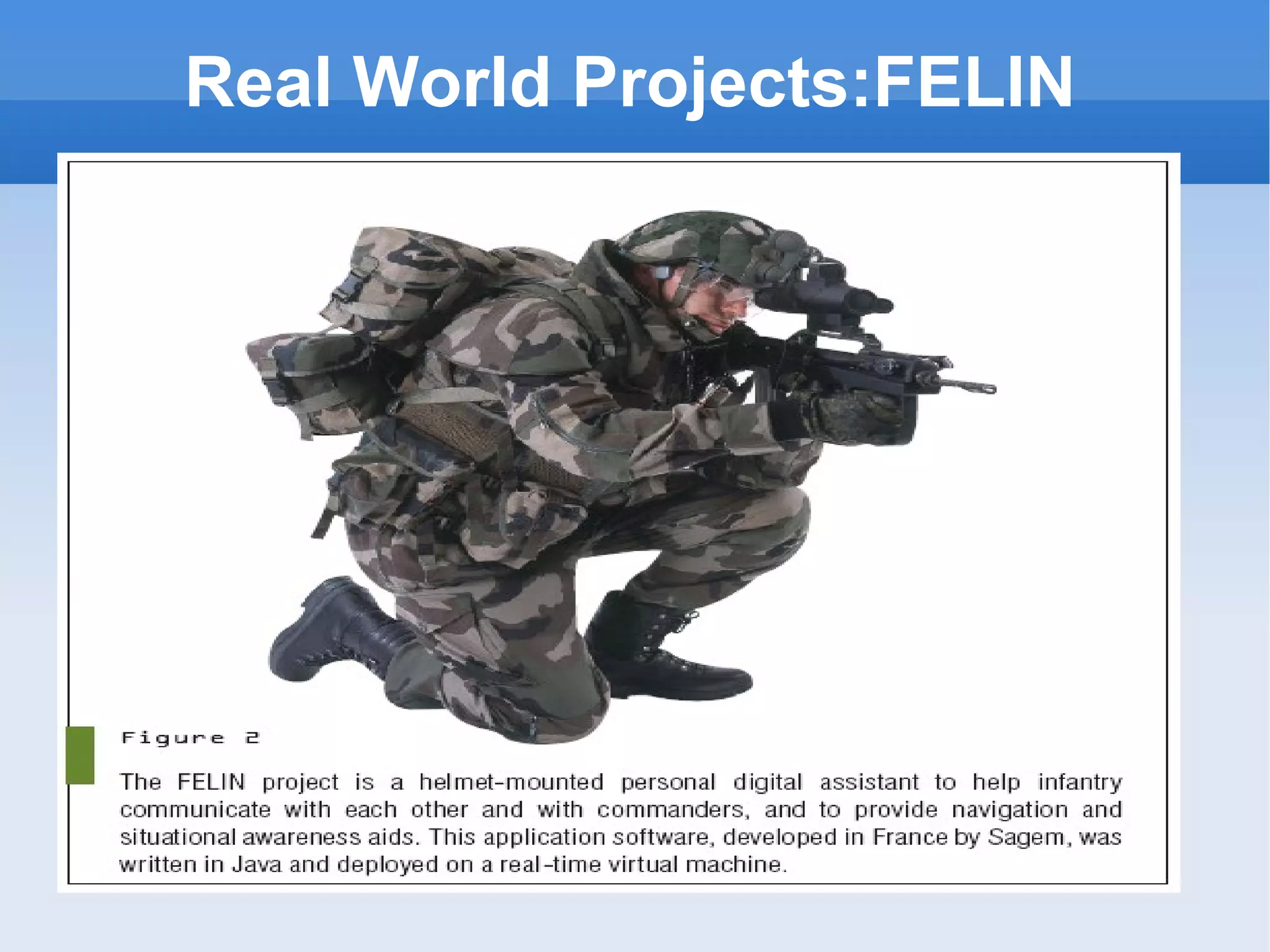 Real World Projects:FELIN 