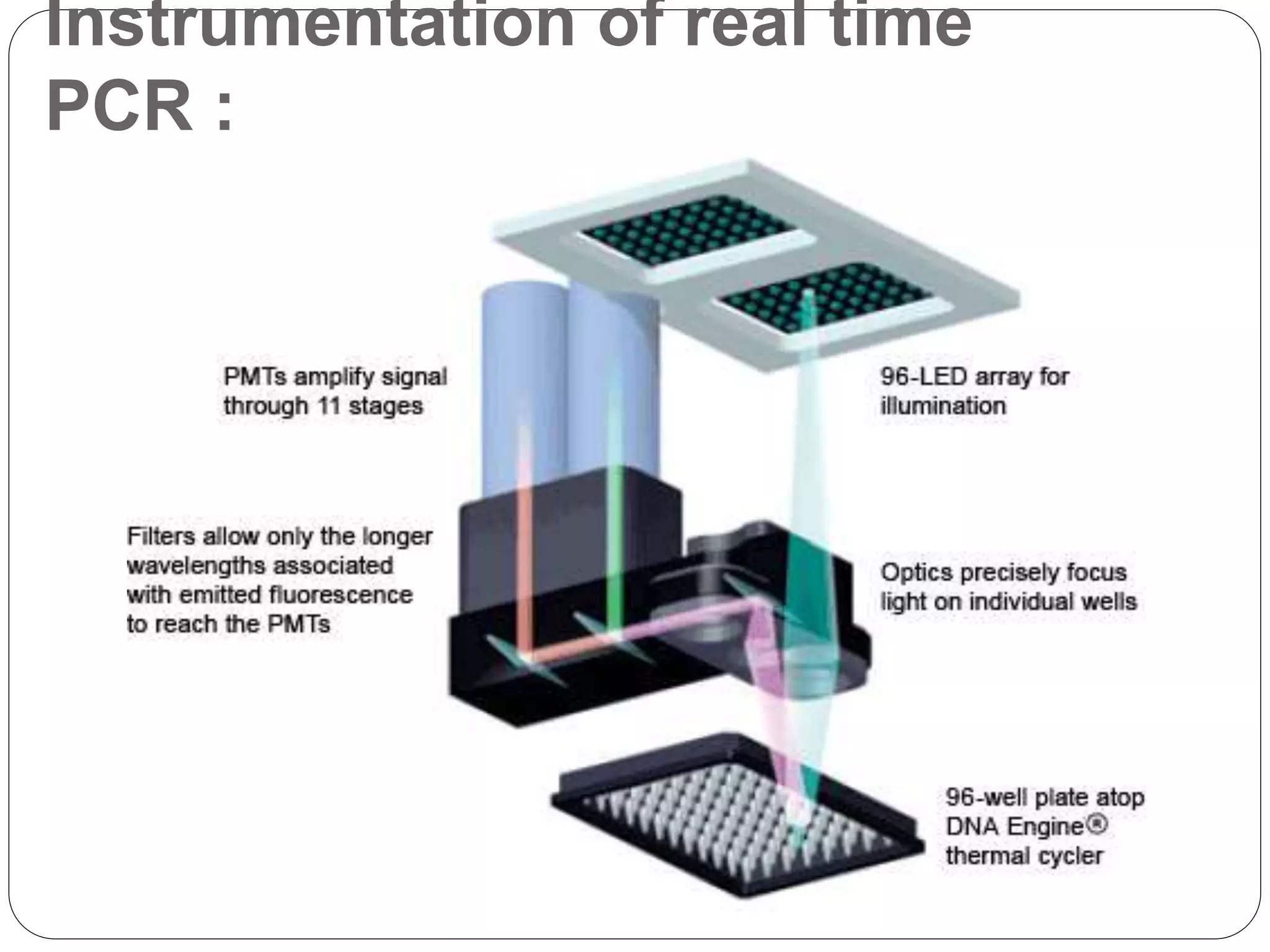 Real time PCR | PPTX