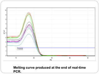 Melting curve produced at the end of real-time
PCR.