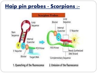 Haip pin probes - Scorpions :-