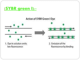 (SYBR green I):-