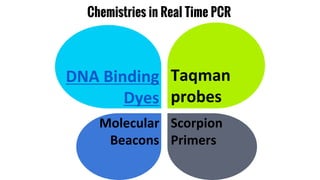 Chemistries in Real Time PCR
DNA Binding
Dyes
Taqman
probes
Molecular
Beacons
Scorpion
Primers
 