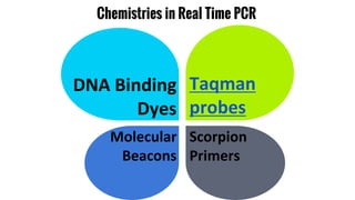 Chemistries in Real Time PCR
DNA Binding
Dyes
Taqman
probes
Molecular
Beacons
Scorpion
Primers
 