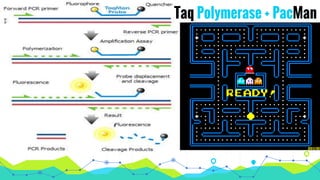 Taq Polymerase + PacManTaq Polymerase + PacMan
 