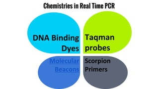 Chemistries in Real Time PCR
DNA Binding
Dyes
Taqman
probes
Molecular
Beacons
Scorpion
Primers
 
