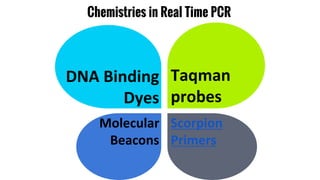 Chemistries in Real Time PCR
DNA Binding
Dyes
Taqman
probes
Molecular
Beacons
Scorpion
Primers
 