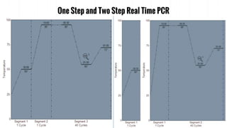 One Step and Two Step Real Time PCR
 
