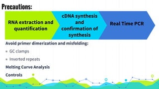 Precautions:
Avoid primer dimerization and misfolding:
◉ GC clamps
◉ Inverted repeats
Melting Curve Analysis
Controls
RNA extraction and
quantification
cDNA synthesis
and
confirmation of
synthesis
Real Time PCR
 