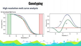 Genotyping
High resolution melt curve analysis
 