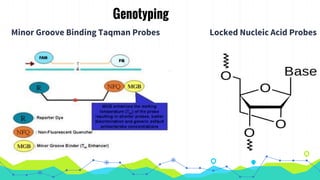 Genotyping
Minor Groove Binding Taqman Probes Locked Nucleic Acid Probes
 