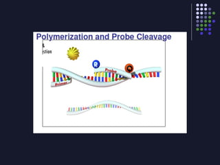 Real time pcr | PPT