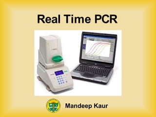 Real Time PCR
Mandeep Kaur
 