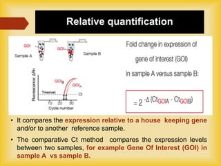 Qrt Example Question qRT PCR | PPTX