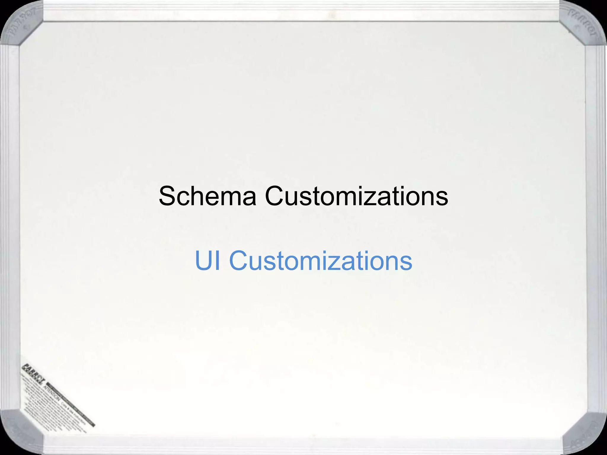 Schema CustomizationsUI Customizations