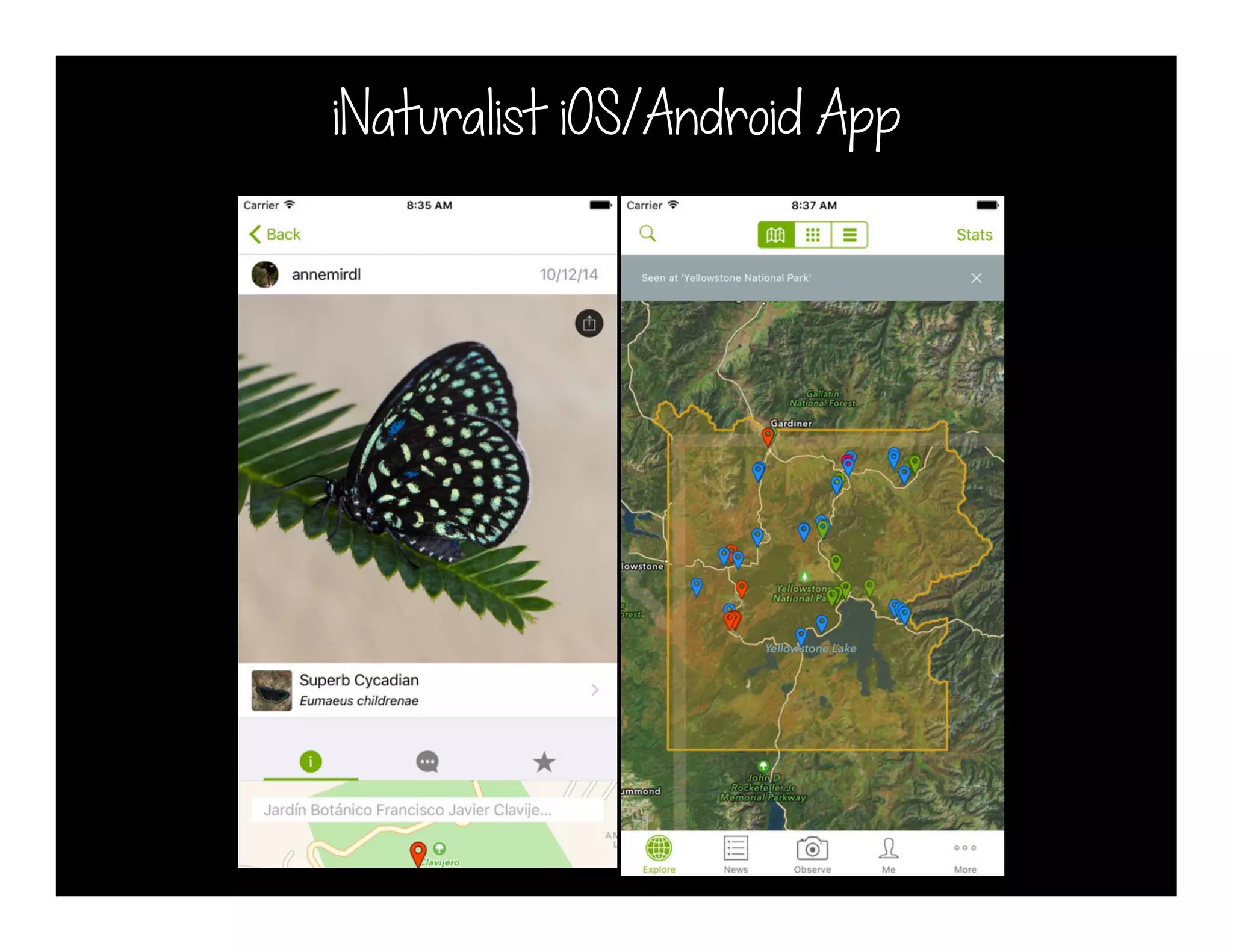 iNaturalist iOS/Android App
 