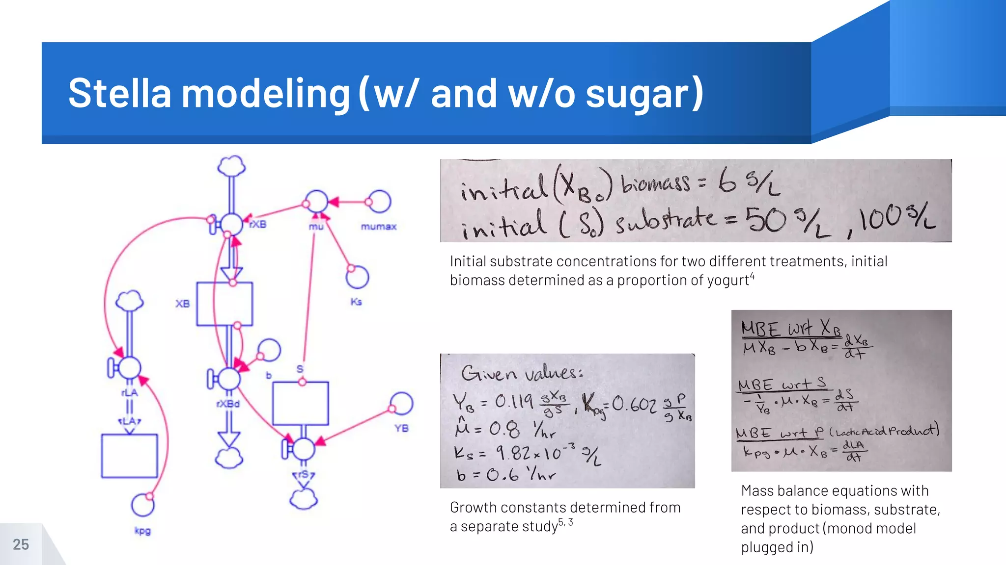 Stella modeling (w/ and w/o sugar)
25
Growth constants determined from
a separate study5, 3
Mass balance equations with
respect to biomass, substrate,
and product (monod model
plugged in)
Initial substrate concentrations for two different treatments, initial
biomass determined as a proportion of yogurt4
 