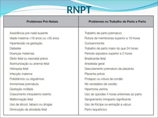 RNPT
 